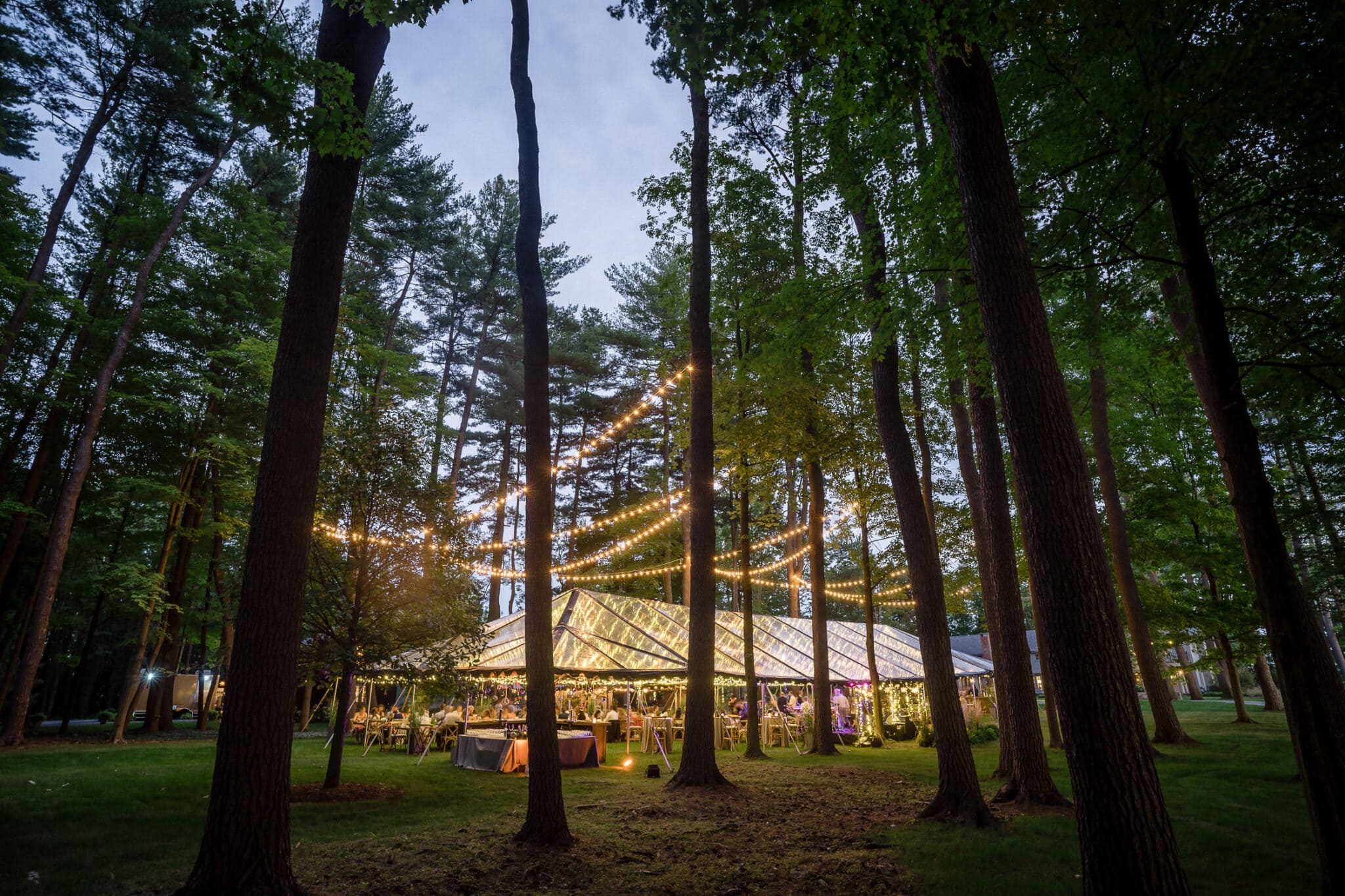 Jaclyn Watson Events • Enchanted Woods • VT|FL|NY